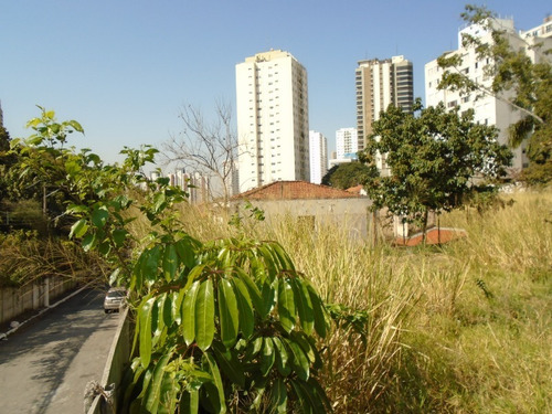 Imagem 5 de 12 de Terreno - 471022 - 69953291