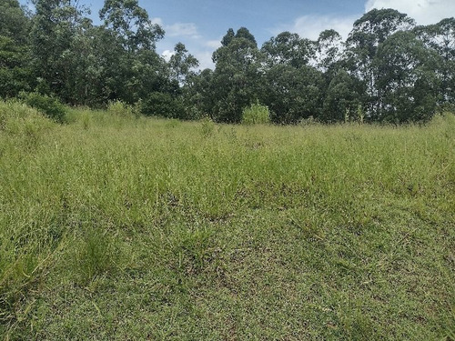 Imagem 1 de 6 de Terreno Comercial Em Vinhedo - Sp, Pinheirinho - Te00850