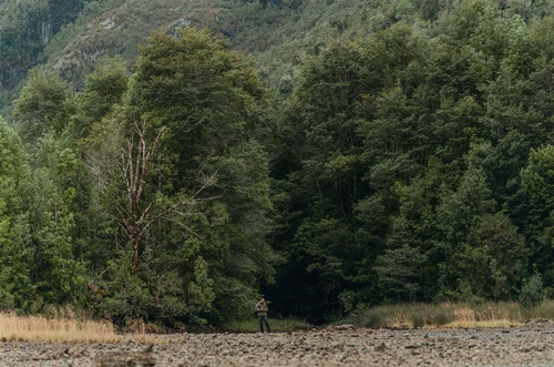 Agrícola En Venta En Cisnes