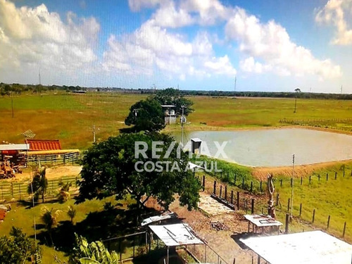 Imagen 10 de 15 de En Venta Finca De 45 Hectáreas De Terreno Plano, A Orilla De Carretera En El Alto, Yaracal.
