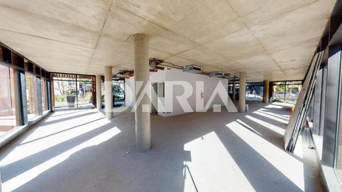 Local A Estrenar En Alquiler Sobre Avenida Libertador, Martinez
