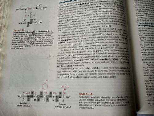 Libro Principios De Bioquímica Albert L. Lehninger 200a1 (Usado)