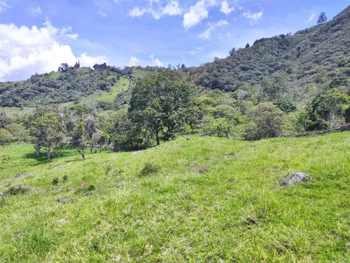 Lote En Copacabana Vereda El Zarzal