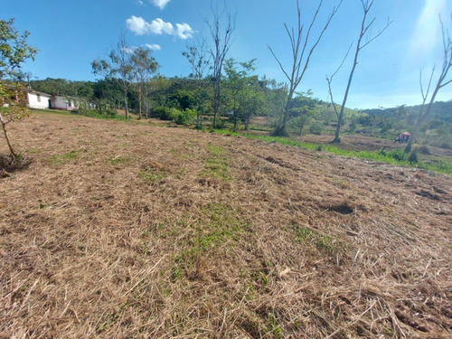 Imagem 30 de 30 de 03o-terreno A Venda Em Igarata