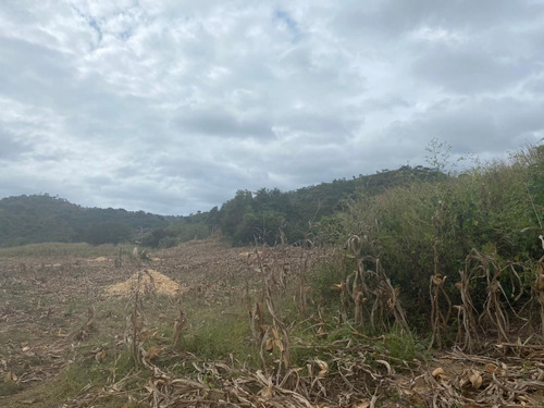 Oportunidad De Inversión En Chiapas: Rancho De 10 Hectáreas Con Documentación Al Día Y Plusvalía En Crecimiento