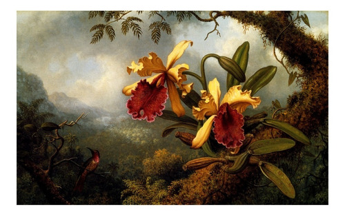 Beija-flor Orquídea Amarela Vermelha Heade Gde Tela Repro