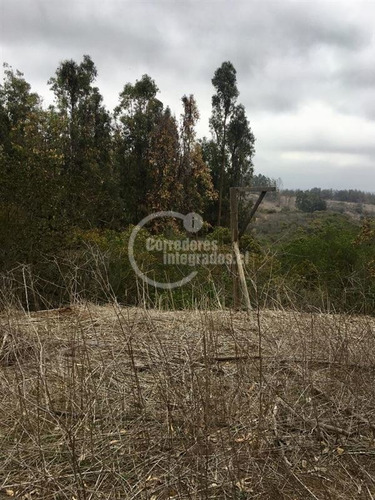 Imagen 27 de 30 de Parcela En Venta Bosques De Mantagua