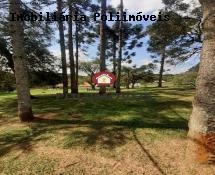 Imagem 15 de 15 de Chácara Para Venda Em Araucária, Guajuvira, 3 Dormitórios, 2 Suítes, 4 Banheiros - Ch0547_2-1110072