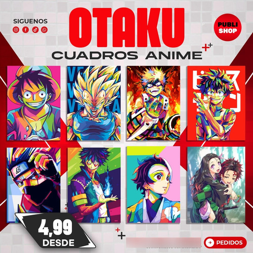 Cuadros Decorativos Anime Otaku