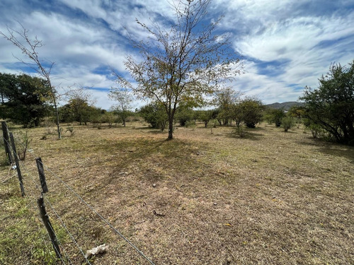 Imagen 11 de 22 de Terrenos De 1000m2 En Potrero De Garay