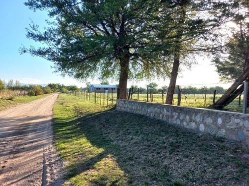 Imagen 8 de 14 de Campo Productivo En Leandro Alem