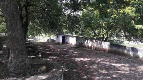 Rancho En Venta En Veracruz Carretera Paso De Ovejas