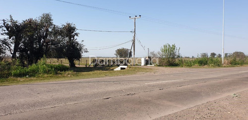 Imagen 5 de 27 de Terreno En Venta O Permuta Ubicado En General Rodríguez, General Rodríguez