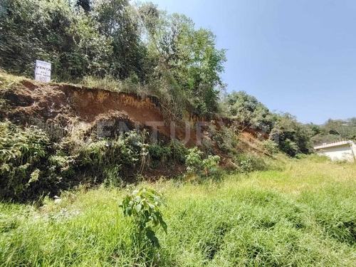 Venta Terreno Con Escritura De 600 M2 Con Servicios A Pie De Calle