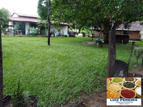 Imagem 15 de 15 de Fazenda À Venda Em Divinópolis - To - De 205 Alqueirões (dupla Aptidão) - 1673