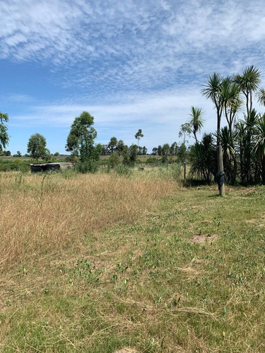 Vendo Muy Linda Chacra Con 3 Casas, 2 Galpones Y Un Parque Arbolado Único!!!!!!!!!!