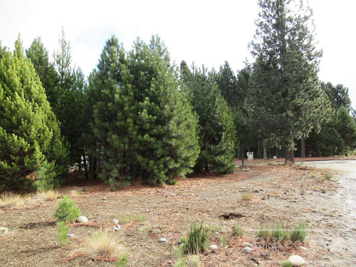 Imagen 3 de 12 de Terreno En Venta Bariloche, Dos Valle Club De Campo. Acepta Permuta Y Financiación