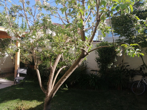 Imagen 7 de 30 de Hermosa Casa, Barrio Consolidado, Seguro, Cercano A Todo