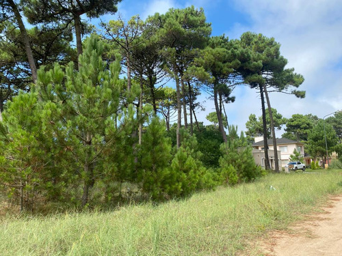 Lote En Venta Zona Alamos- Pinamar (deriva E/ Alamos Y De Las Garzas)