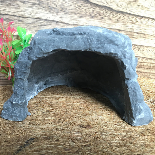 Gran Mascota Escondida De Reptiles En La Cueva De Tortugas