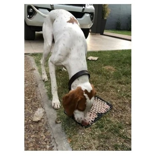 Alfombra De Lamer Antiestrés Silicona Para Perros Y Gatos 