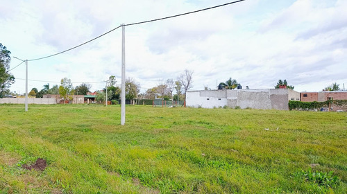 Terrenos | 11x31 Metros | 341 M² | Andino