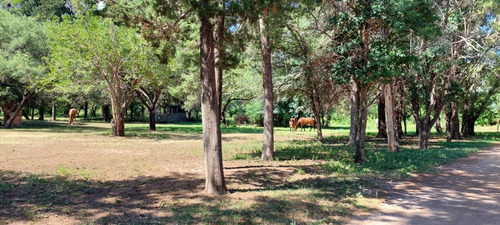 Campo 383 Ha En Conlara Merlo Lafinur San Luis. Con Riego Y Natural. Para Cría, Engorde, Tambo.