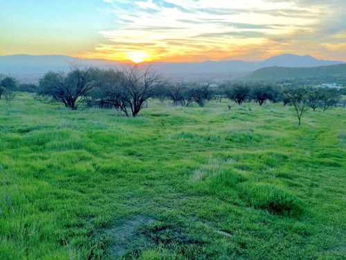 Las Brisas De Chicureo, Bonito Sitio En Pequeña Loma