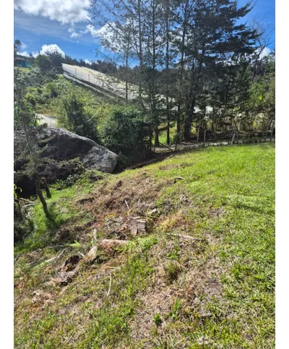Rhbr-12729 (lote San Vicente Vda Chaparral)