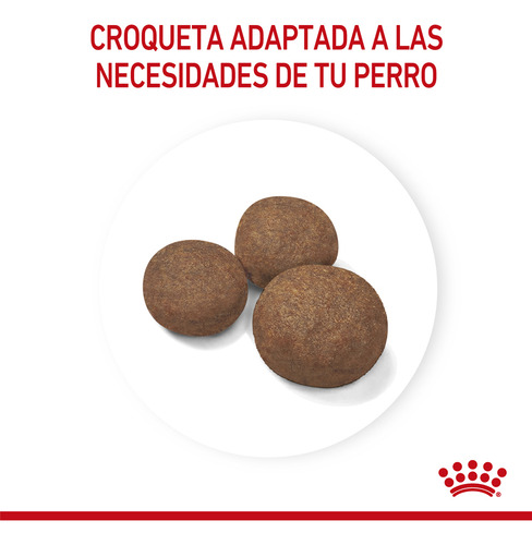 Alimento Royal Canin Size Health Nutrition Medium Puppy para perro cachorro de raza mediana sabor mix en bolsa de 15 kg