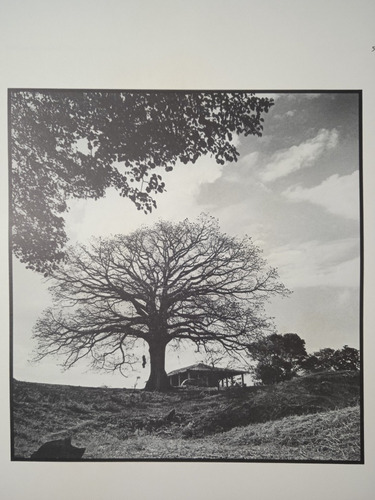 Imágenes (libro De Fotografías / Tapa Dura) Alfredo Boulton (Usado)