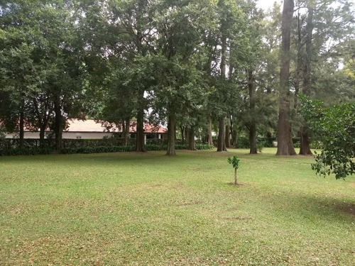 Imagen 3 de 8 de Chacra En Venta 3 Has Benquerenia Farm Club