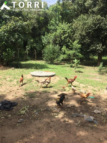 Imagem 15 de 23 de Chácara Á Venda No Monte Líbano Em Araçoiaba Da Serra - Ch00333 - 69208942