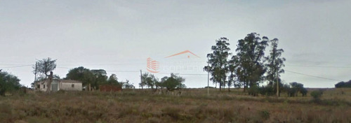 Imagen 2 de 3 de Chacra En Venta Al Norte De José Ignacio, Próximo A Ruta 9, Cañadita, Tapera, Monte Abrigo