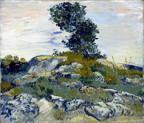 Lienzo Canvas Arte Paisaje Con Rocas Vincent Van Gogh 50x50