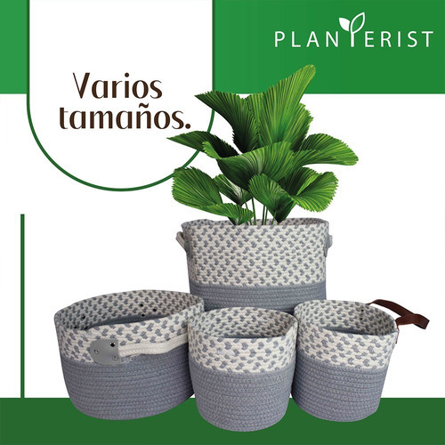 Planterist - Maceta Tejida Autorregable - Mediana Color Ajijic