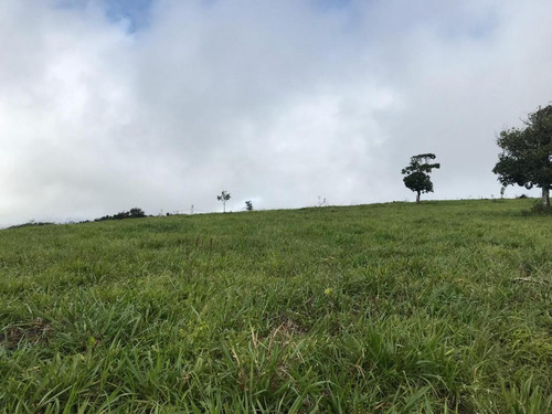 Imagem 15 de 15 de Fazenda Para Venda Em São Benedito Do Sul, Zona Rural - In - 006_1-2014337