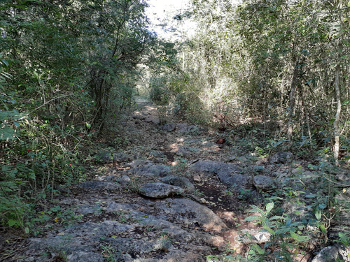 Terreno Con Cenote En Venta En Xtut, Valladolid Yucatán