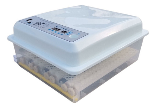 1 Incubadora De Ovos Incubadora Automática De 36 Ovos