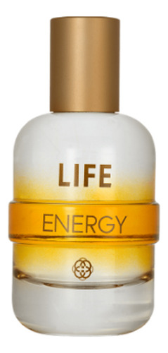 Life Energy De Hinode Group 