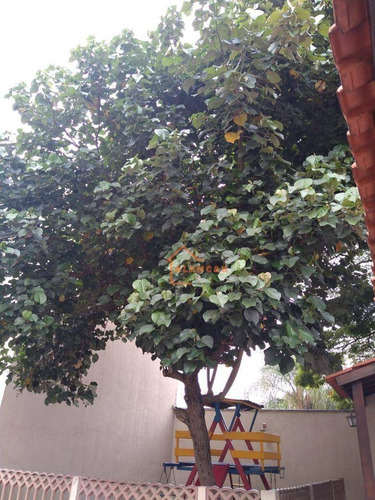 Imagem 18 de 18 de Sobrado Com 2 Dormitórios À Venda, 66 M² Por R$ 265.000,00 - Itaquera - São Paulo/sp - So0539