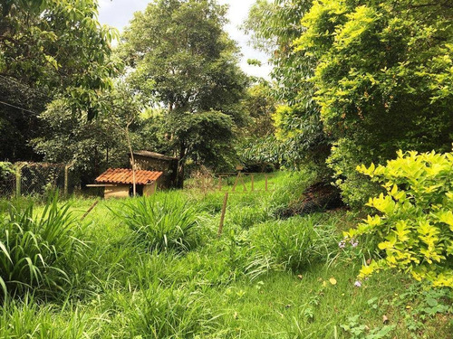 Imagem 5 de 9 de Chácara Residencial À Venda, Estância Das Flores, Vinhedo. - Ch0022