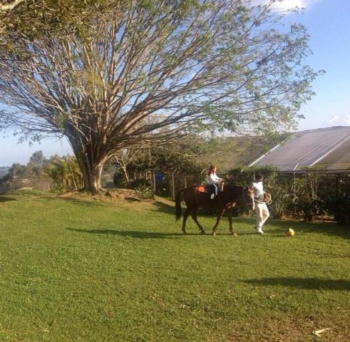 Imagen 3 de 8 de Finca En Venta Club De Campo 6h