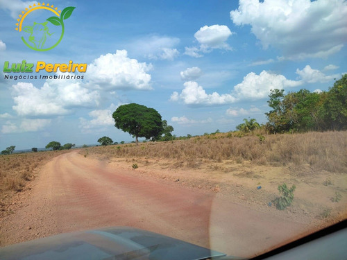 Imagem 2 de 12 de Fazenda À Venda Em Abreulândia - Pa - 1.427,8 Hectare (dupla Aptidão) - 2038