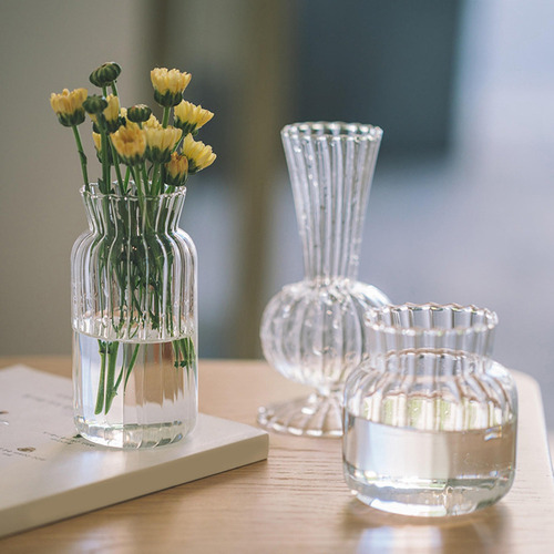 Florero De Cristal Transparente Tallo Planta Tarro Mesa