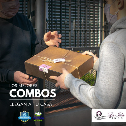 Imagen 3 de 10 de Vino Trapiche Gran Medalla Malbec + Coletto Ambrosia --