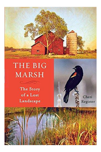 The Big Marsh: The Story Of A Lost Landscape - (libro En Ing