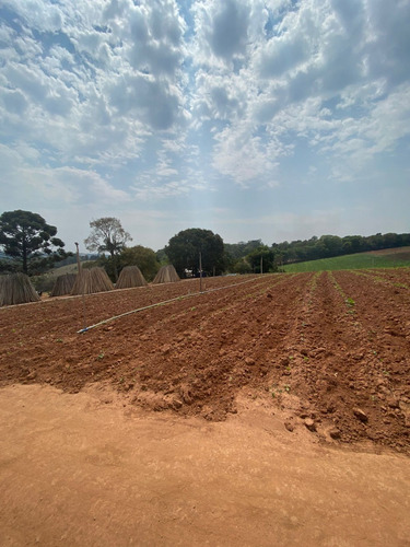 Imagem 5 de 6 de O104 Vendo Meu Terreno De 450mts