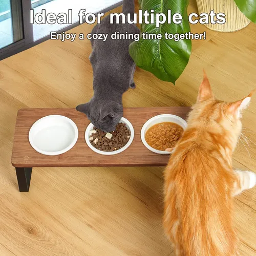Sunhoo Cuenco Elevado Para Agua Y Comida Para Gatos, Juego .