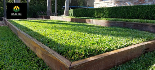 Imagen 1 de 5 de Jardineria Y Paisajismo
